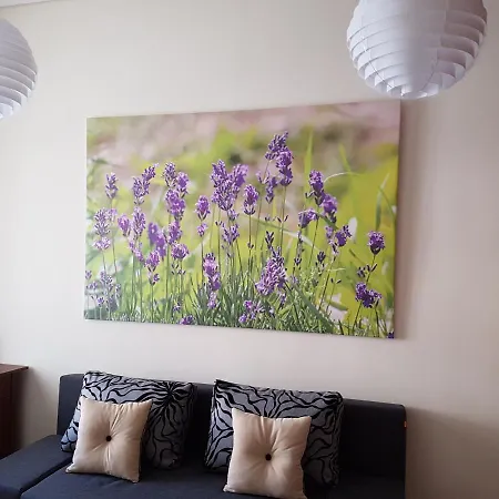 Great Flat With Terrace In Oldtown-prime * Kaunas